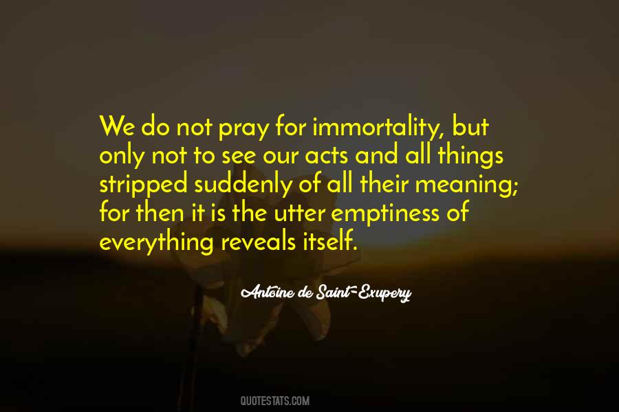 Quotes About The Meaning Of Things #521607