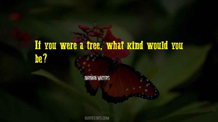 Drop Dead Gorgeous Quotes #688854