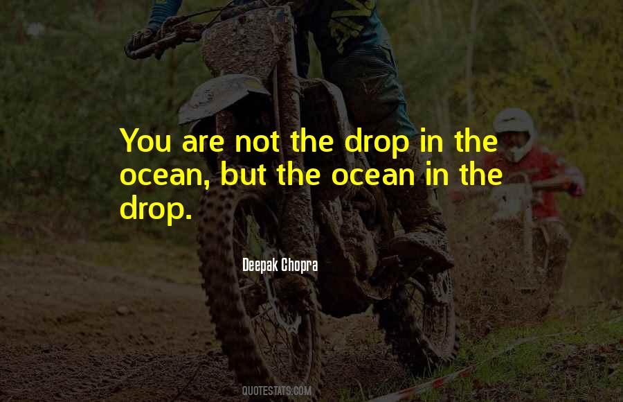 Drop In The Ocean Quotes #244867