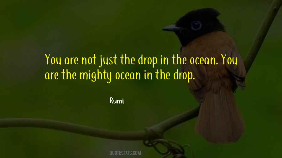 Drop In The Ocean Quotes #301259