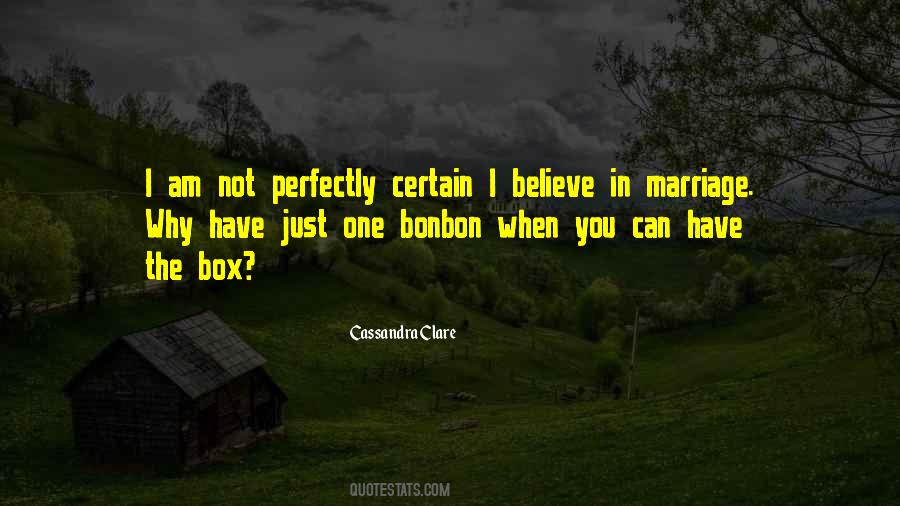 I Believe In Marriage Quotes #66600