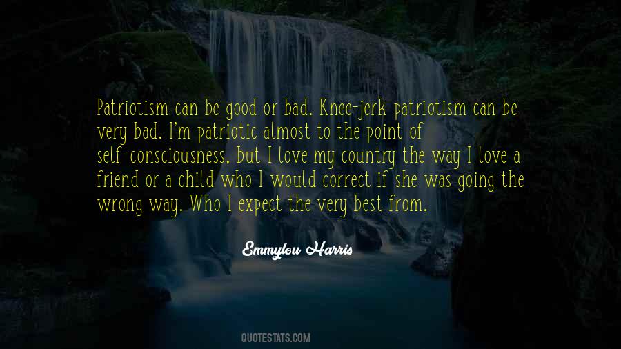 Patriotism Is Bad Quotes #339612