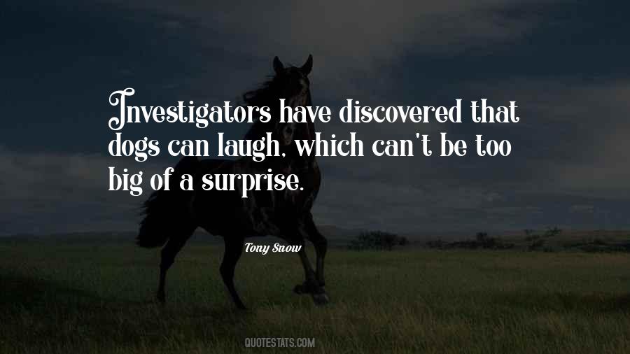 Big Surprise Quotes #145863