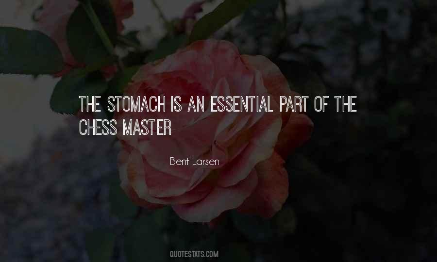 Quotes About The Stomach #1793160