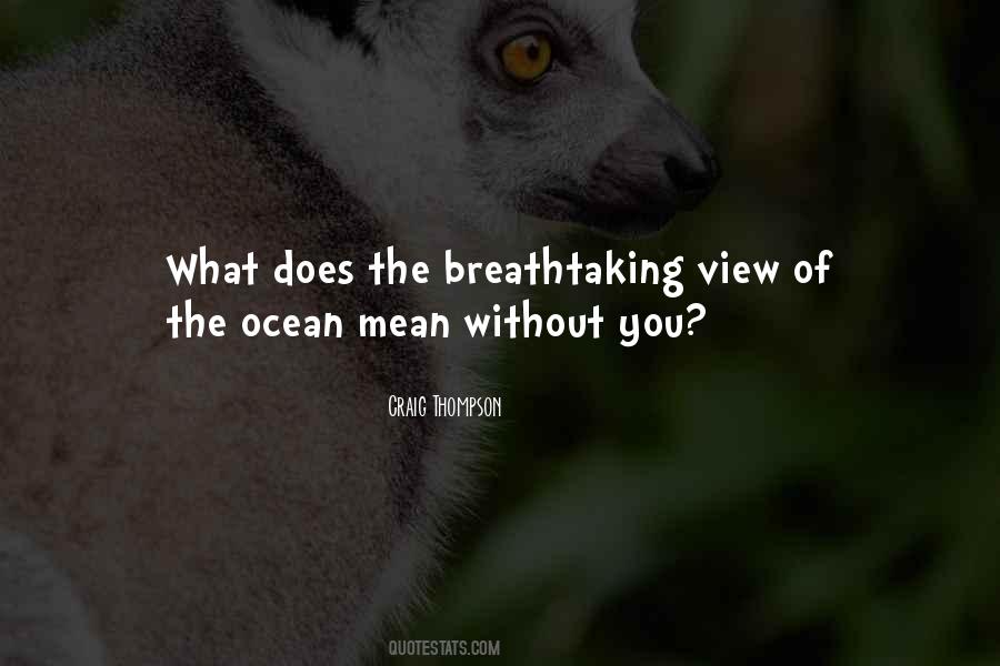 View Of The Ocean Quotes #2026