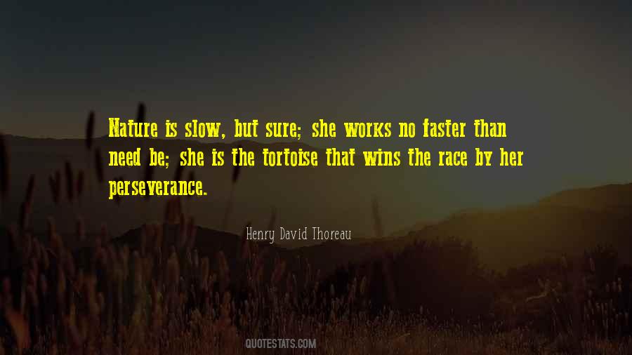 Winning Race Quotes #277056