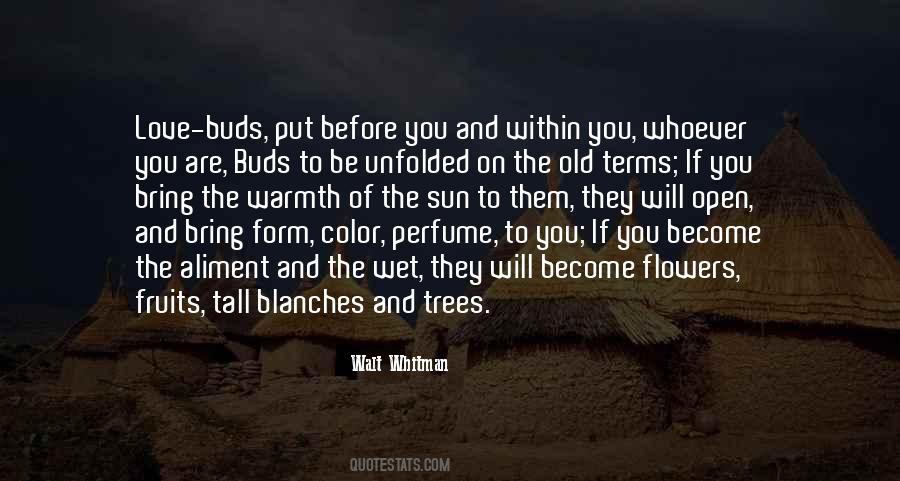 Sun Color Quotes #1653800