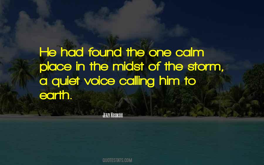 In The Midst Of The Storm Quotes #1644606