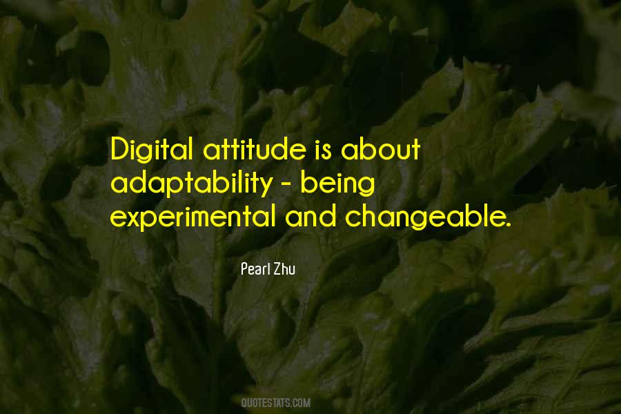 About Attitude Quotes #177265