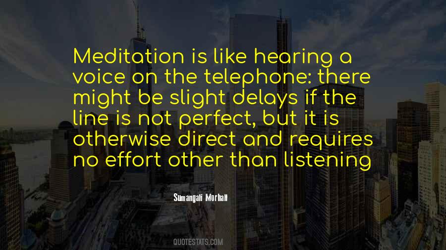 Perfect Effort Quotes #1084363