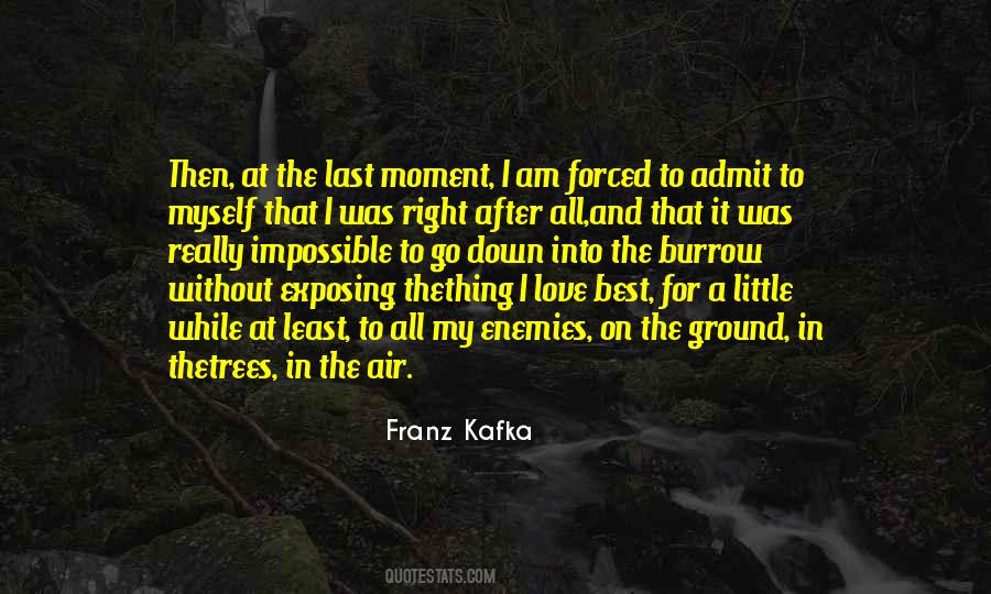 Love For Trees Quotes #1399207