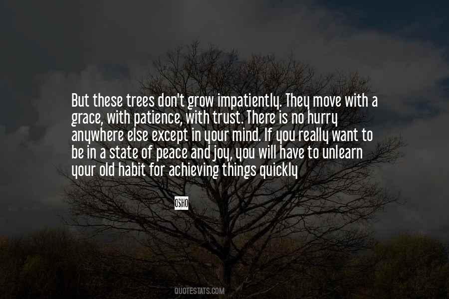 Love For Trees Quotes #1703986