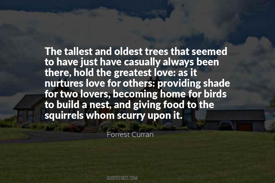 Love For Trees Quotes #385810