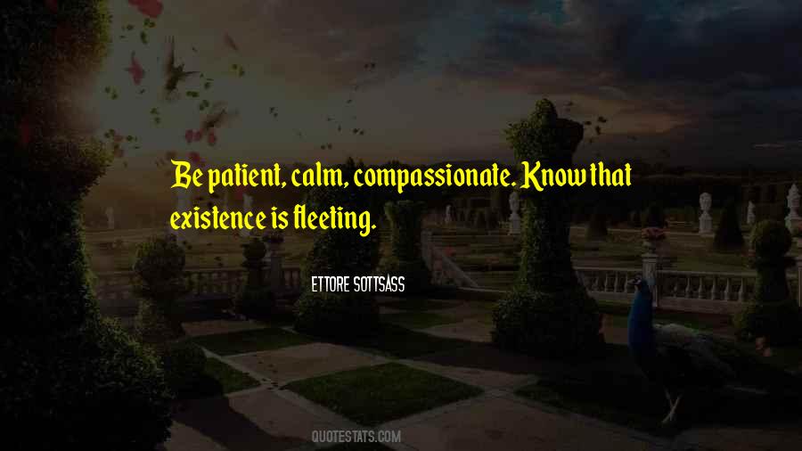 Patient And Calm Quotes #1210708