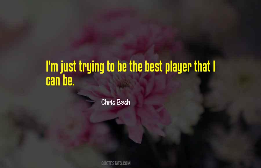 Best Trying Quotes #209452