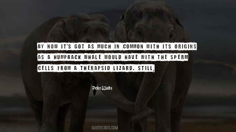 Brother Nature Quotes #1612055