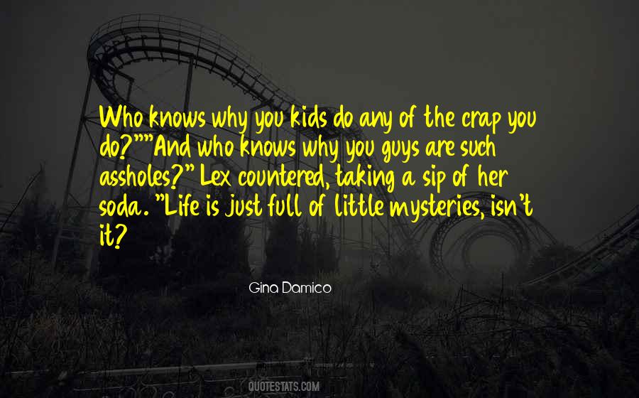 Quotes About The Mysteries Of Life #42346