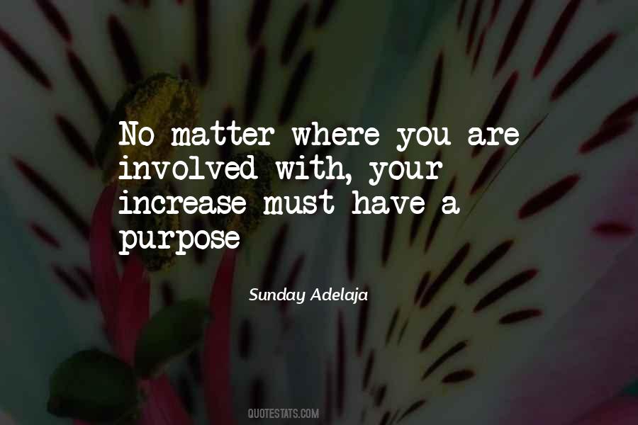 Have A Purpose Quotes #1661014