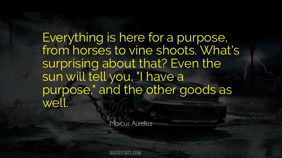 Have A Purpose Quotes #351233