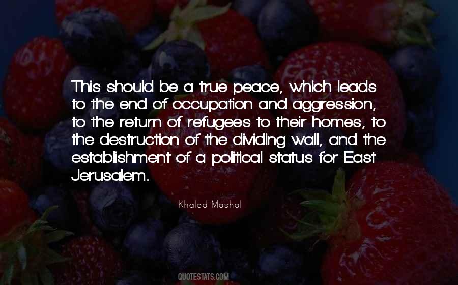 Political Status Quotes #377455