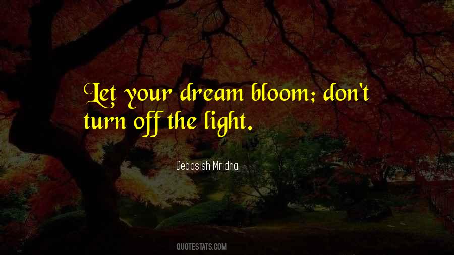 Light Philosophy Quotes #685399