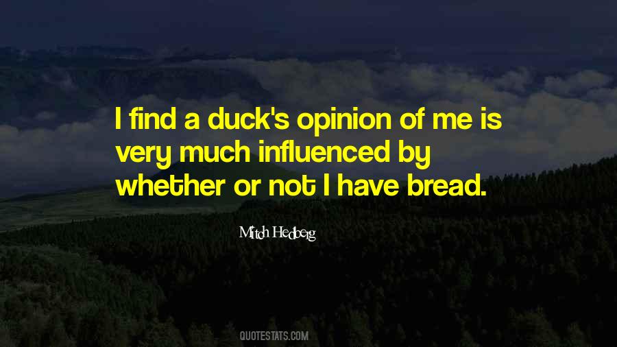 Duck Quotes #1295268