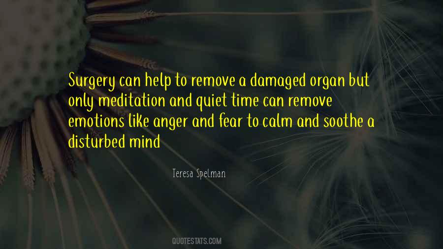 Quotes About Anger Calm #1879518