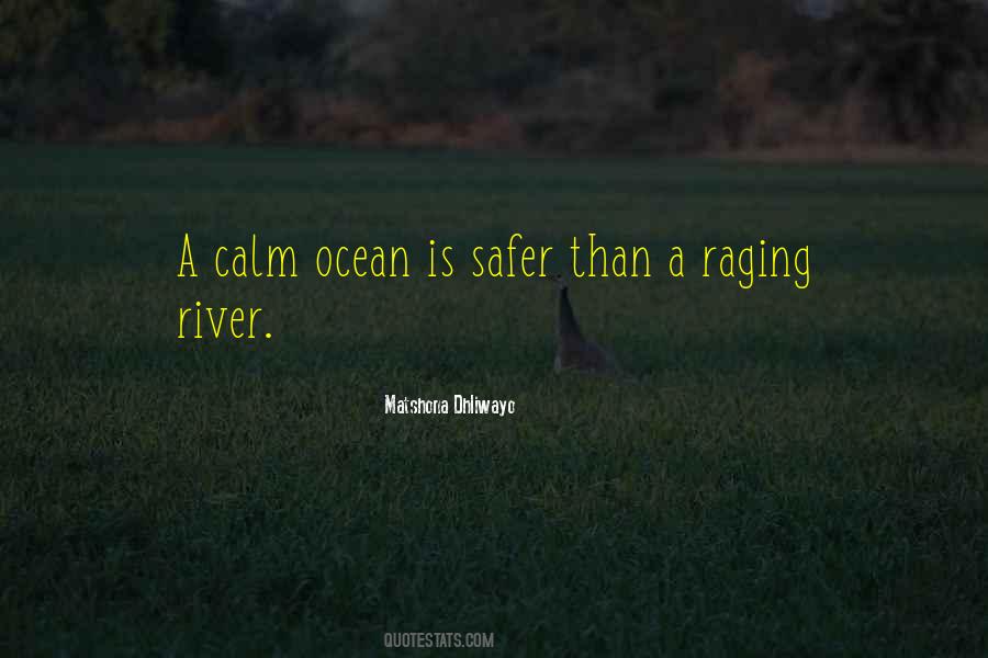 Quotes About Anger Calm #639406