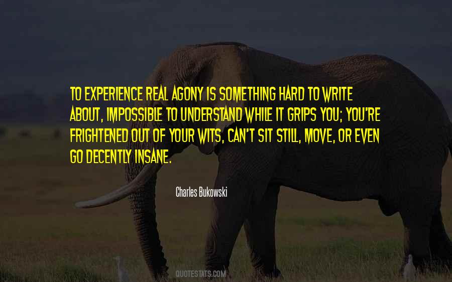 Quotes About Experience Of Pain #1273320