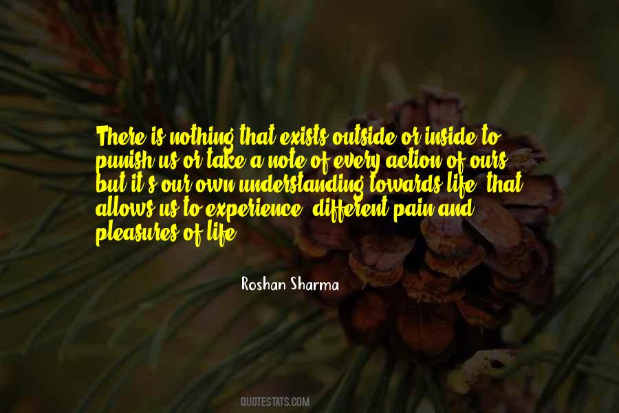 Quotes About Experience Of Pain #1297846