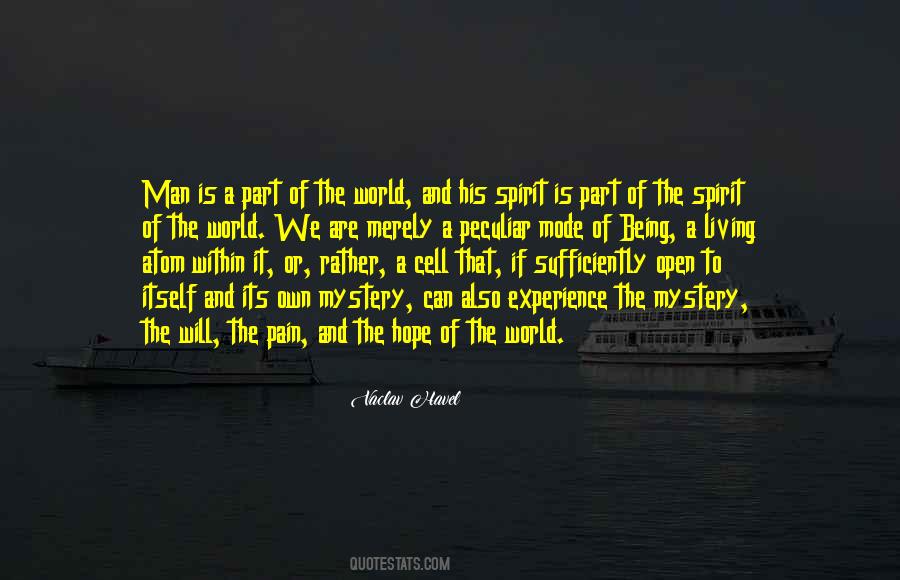 Quotes About Experience Of Pain #1391528