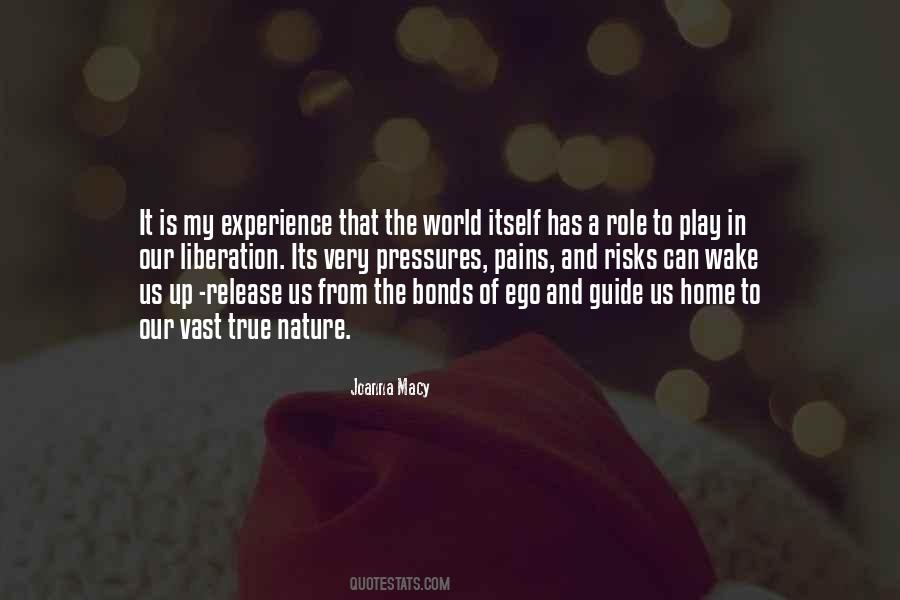 Quotes About Experience Of Pain #1433465