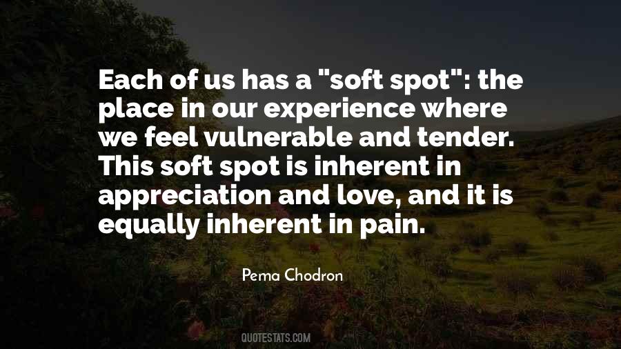 Quotes About Experience Of Pain #1593893
