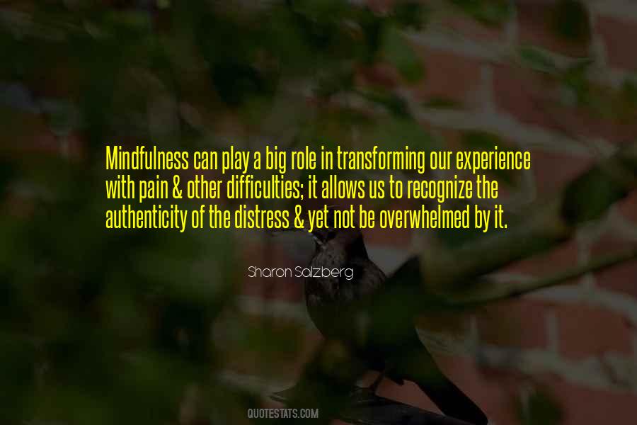 Quotes About Experience Of Pain #1748204