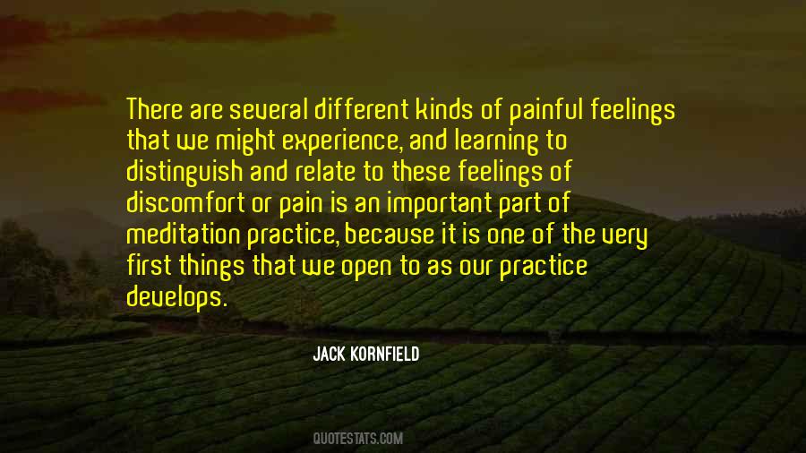 Quotes About Experience Of Pain #1793824
