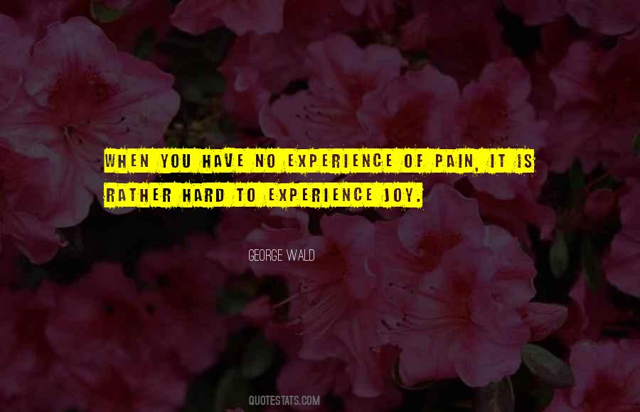 Quotes About Experience Of Pain #256488