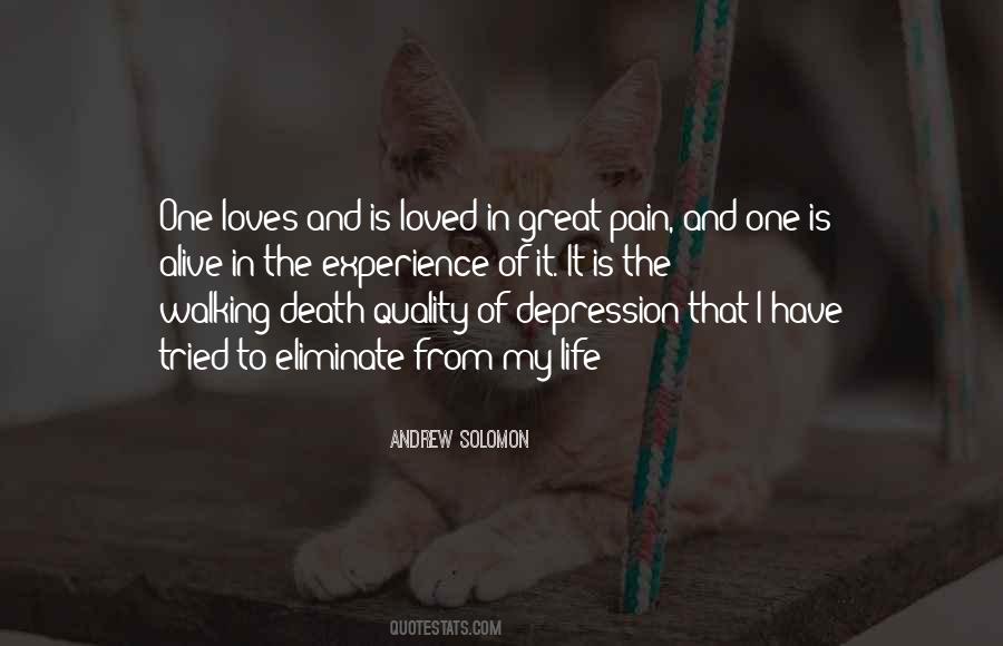 Quotes About Experience Of Pain #33447