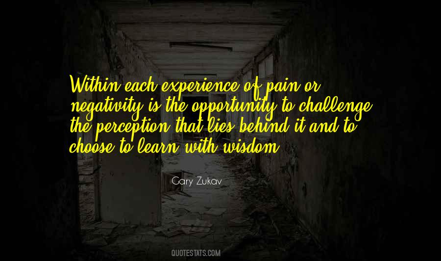 Quotes About Experience Of Pain #560548