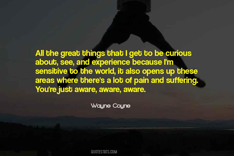 Quotes About Experience Of Pain #560844