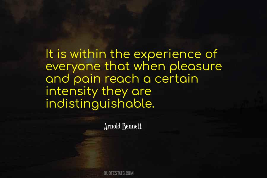 Quotes About Experience Of Pain #648124