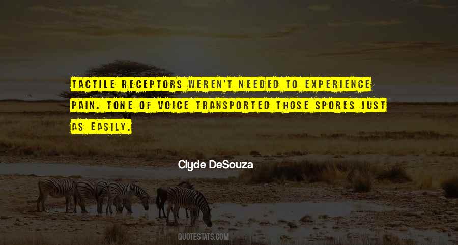 Quotes About Experience Of Pain #707702