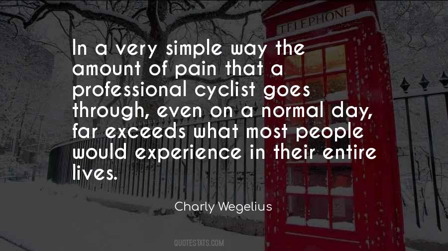 Quotes About Experience Of Pain #917735