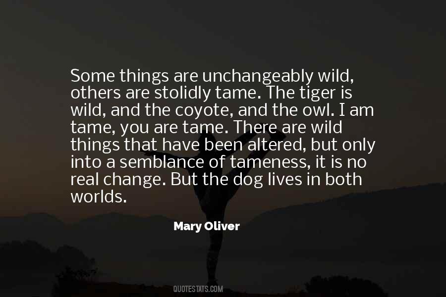 I Am A Tiger Quotes #373147