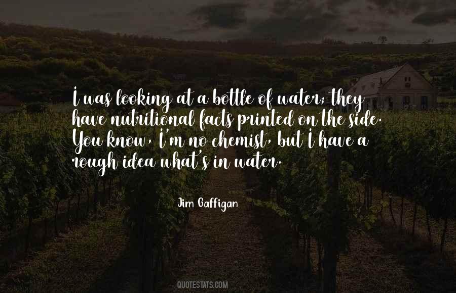 But You Have No Idea Quotes #1731934