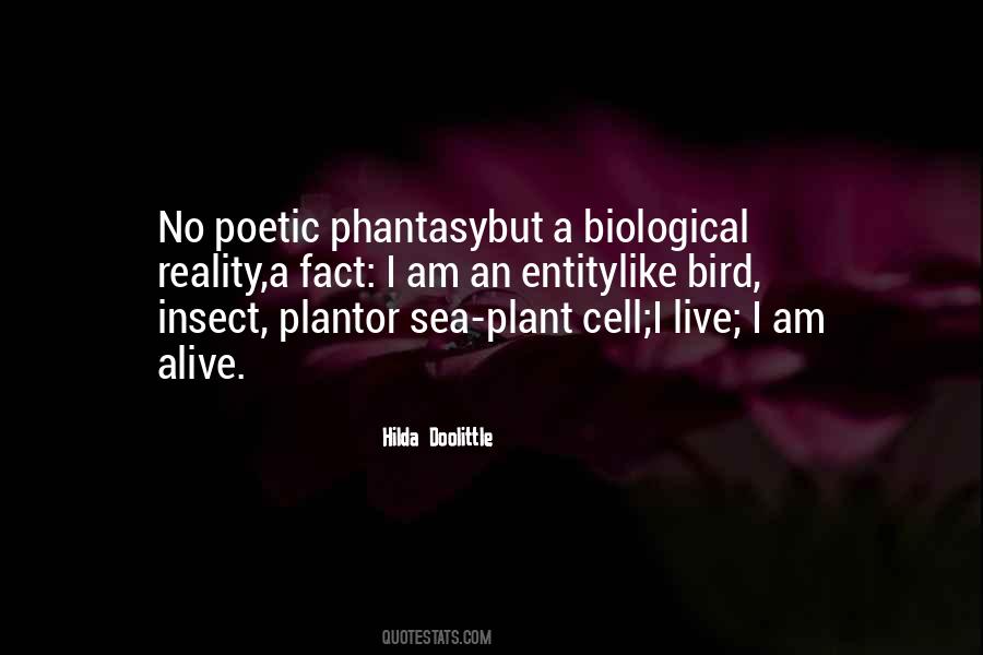 Quotes About Insect Life #1403398