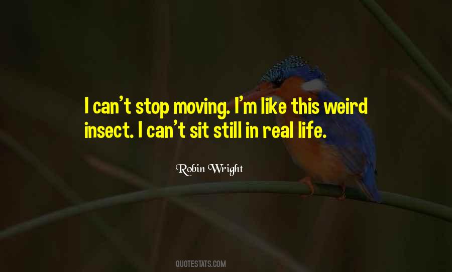 Quotes About Insect Life #1755589