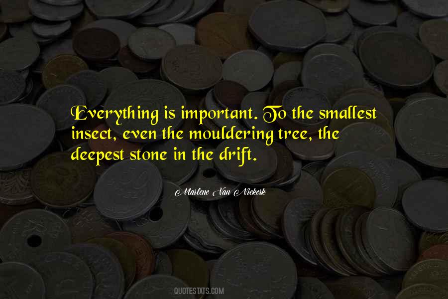 Quotes About Insect #1260310