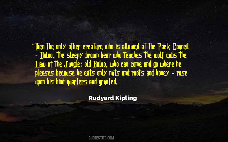 Old Wolf Quotes #1096294