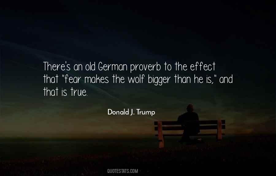 Old Wolf Quotes #1452631