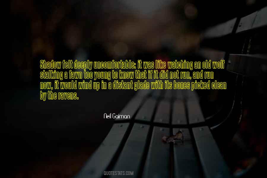 Old Wolf Quotes #1614144
